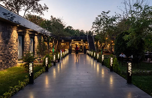 restaurant tasarımları